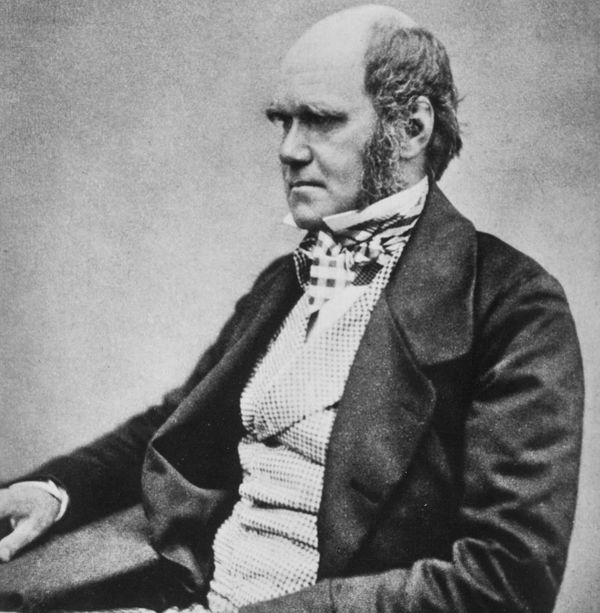 Charles_Darwin_seated_crop