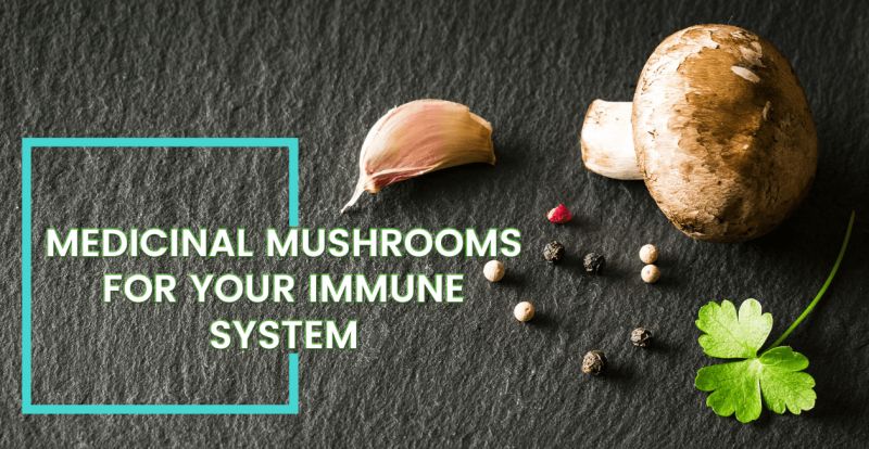 Medicinal mushrooms for your immune system